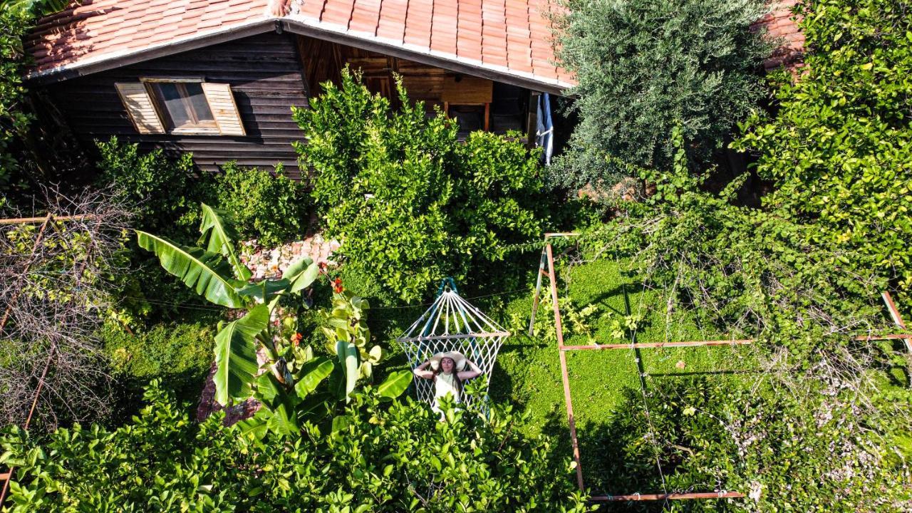 Lemon Garden Cirali