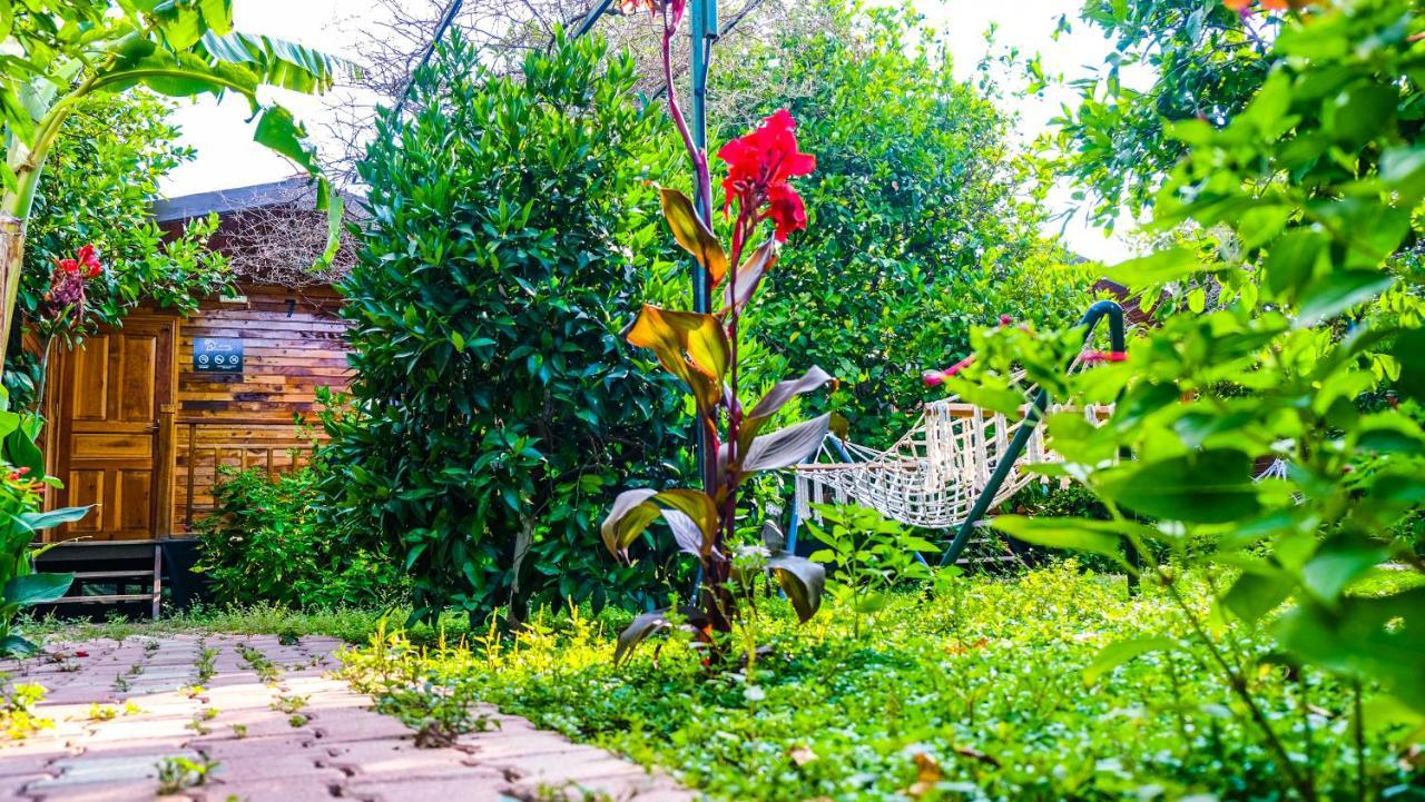 Bed & Breakfast Lemon Garden Cirali